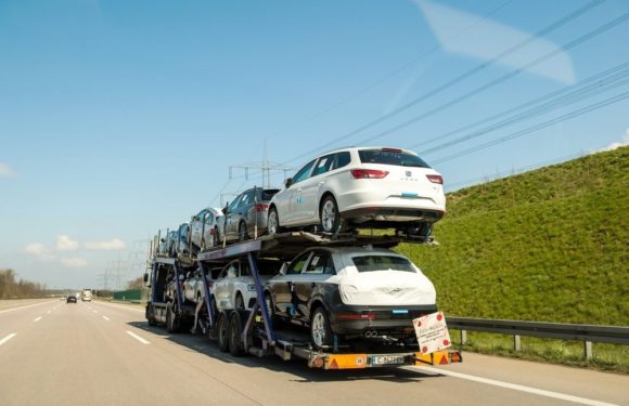 Different types of auto shipping services